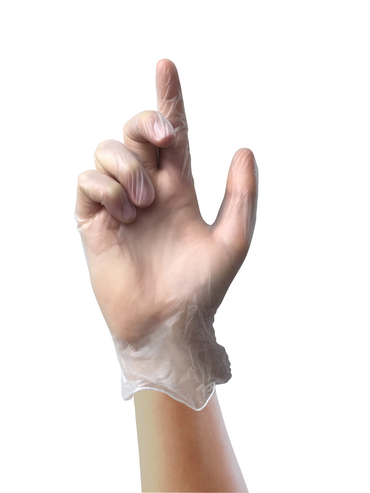 Disposable Vinyl Gloves  With Powder- Case of 10