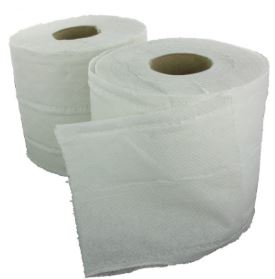 Cloud 9 Toilet Rolls 2ply 10×4 pack